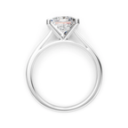 2ct Princess Cut Moissanite Engagement Ring